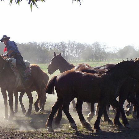 Estancia Don Silvano Guest House Diego Gaynor Екстериор снимка