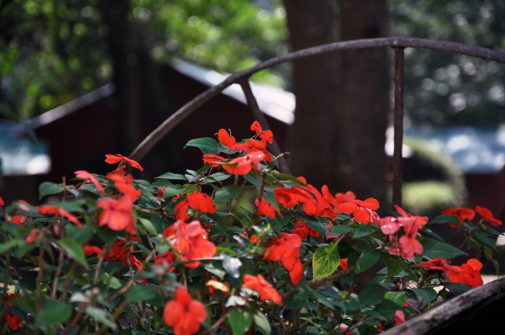 Estancia Don Silvano Guest House Diego Gaynor Екстериор снимка