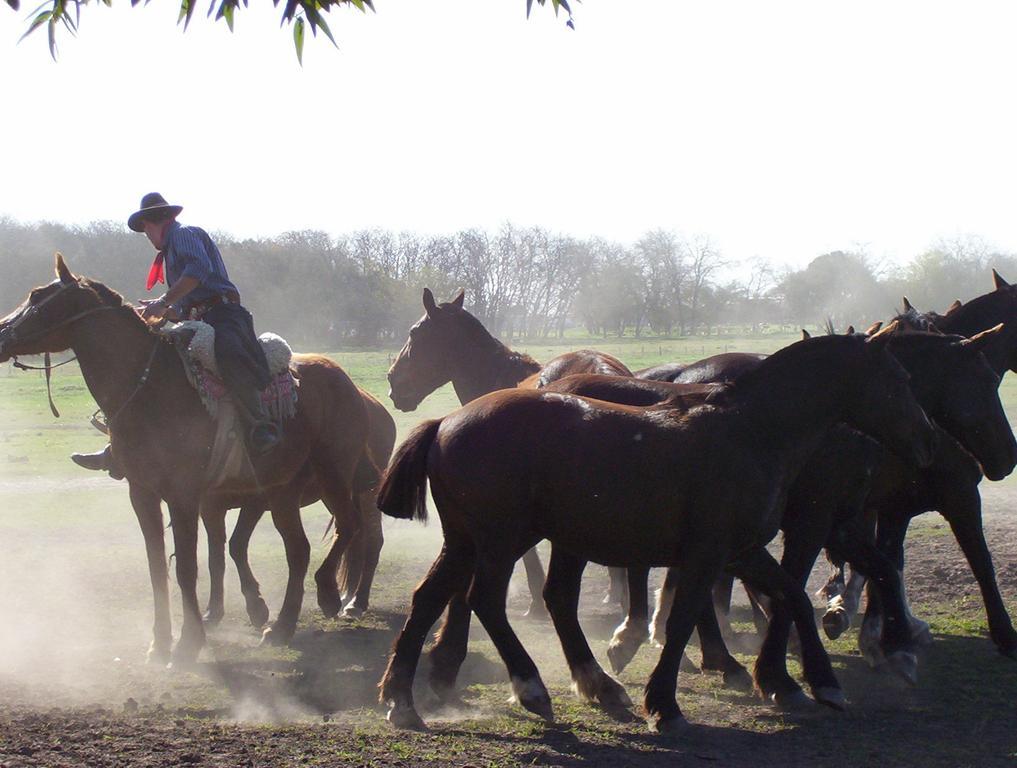 Estancia Don Silvano Guest House Diego Gaynor Екстериор снимка