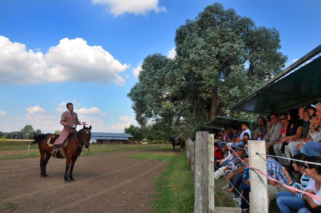 Estancia Don Silvano Guest House Diego Gaynor Екстериор снимка