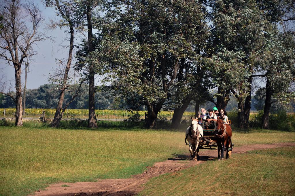 Estancia Don Silvano Guest House Diego Gaynor Екстериор снимка